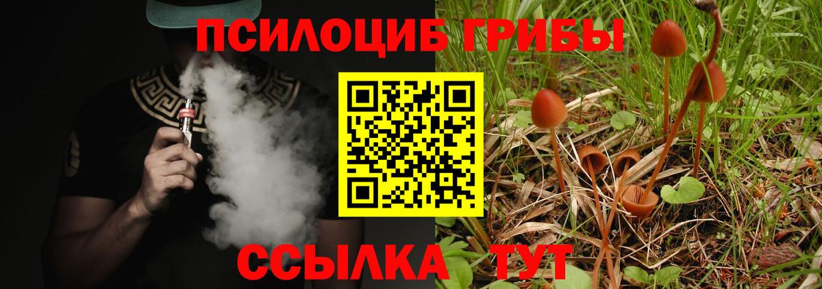 Галлюциногенные грибы Psilocybine cubensis Россошь